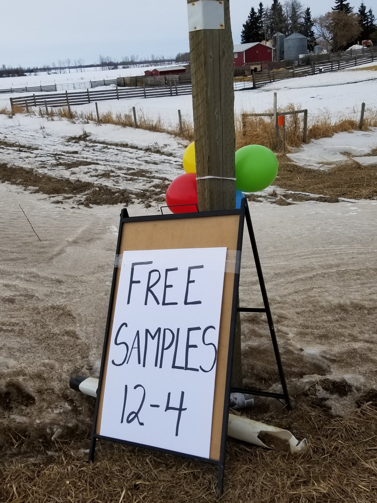Homemade free samples sign