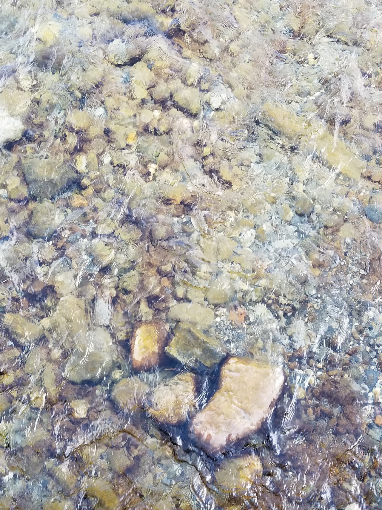 Policeman's Creek in Canmore