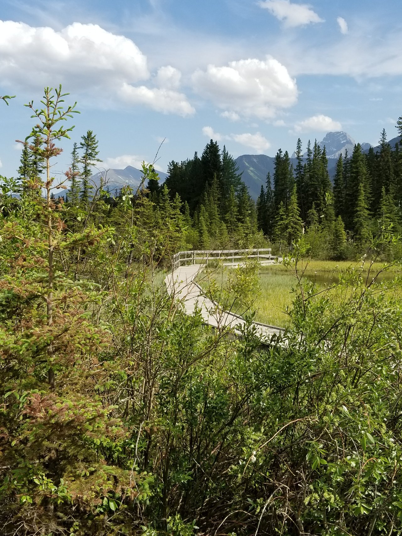 Policeman's Creek boardwalk in Canmore 