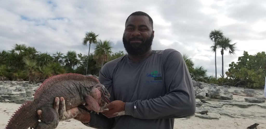 Iguana Island, Bahamas 