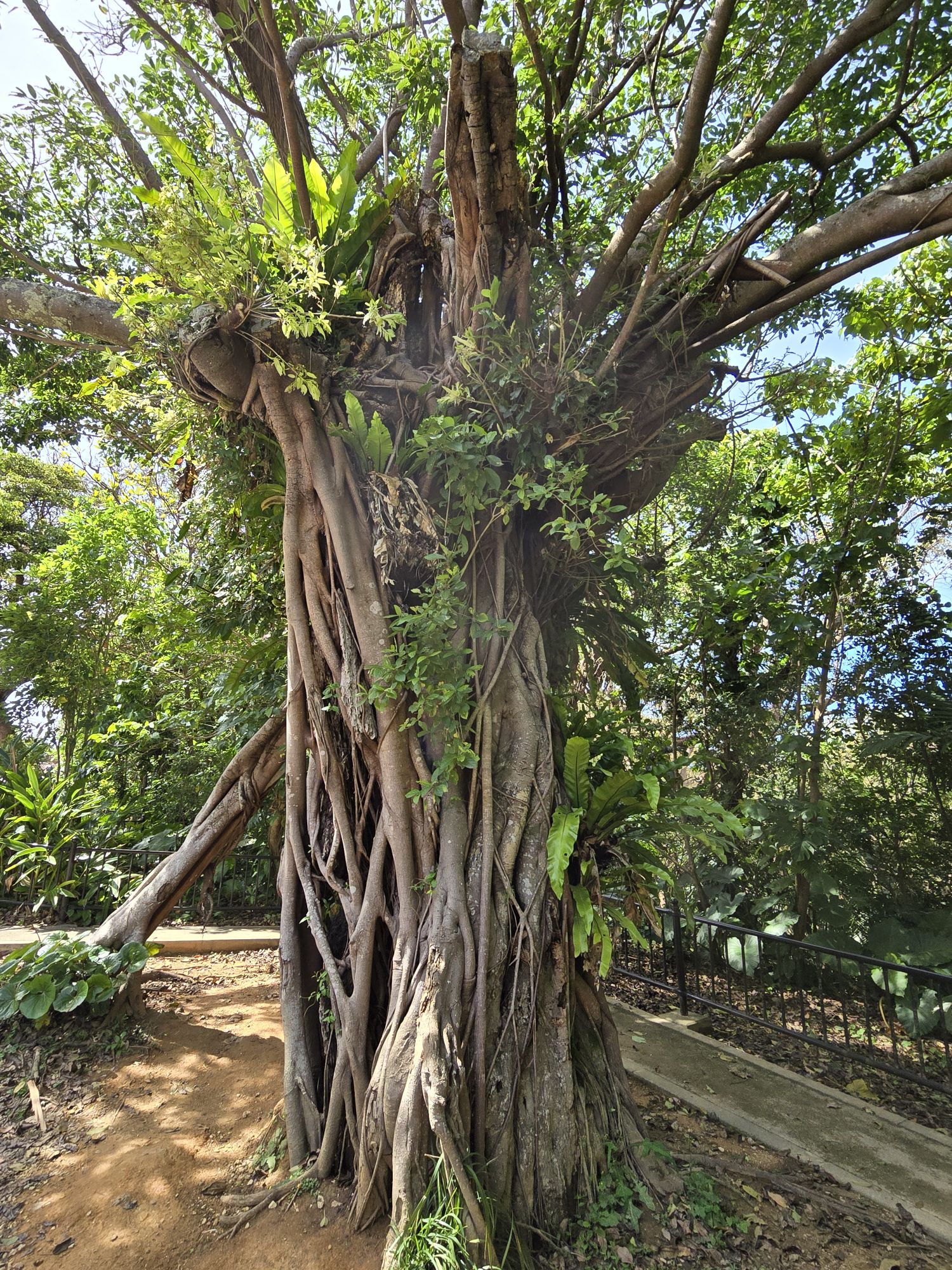 The resilience of Shuri Castle | Wise Woman Travel